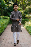 The Grey Dragon Fly (KID)